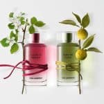 Karl Lagerfeld Bois De Yuzu Edt 50ml