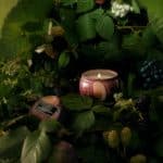 Voluspa Decorative Tin Candle Foraged Wildberry 113g