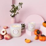 Voluspa Classic Candle Saijo Persimmon 269g