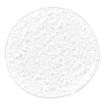 Paul Mitchell Clean Beauty Hydrate Shampoo 250ml