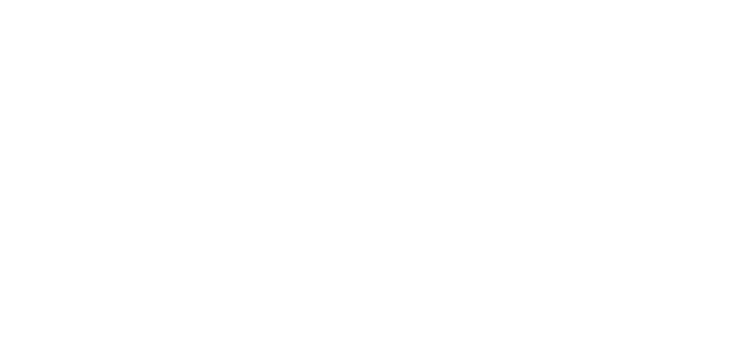 Logo StylingAgenten